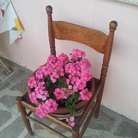 Bed & Breakfast La Piccola Quercia