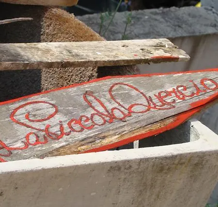 La Piccola Quercia Bed & Breakfast *