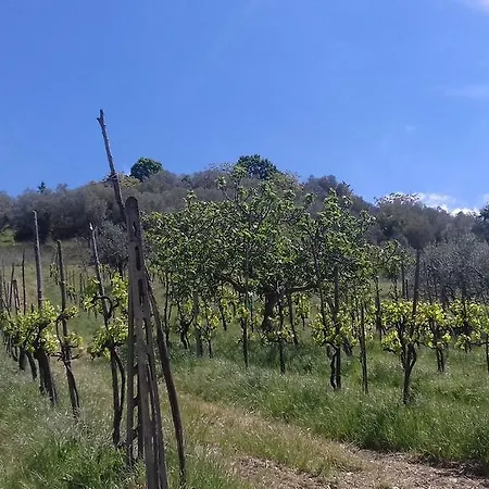 La Piccola Quercia Bed & Breakfast *